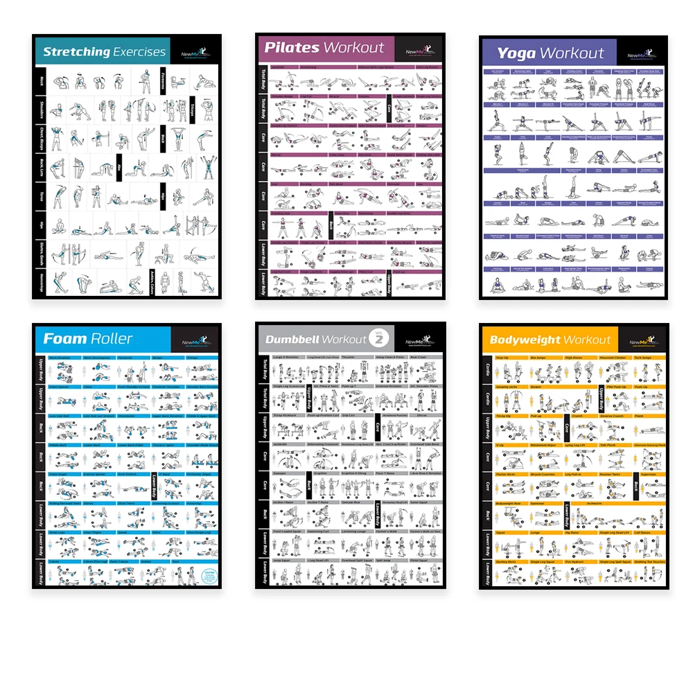 Body Exercise Training Chart W - Home Gym House review and price