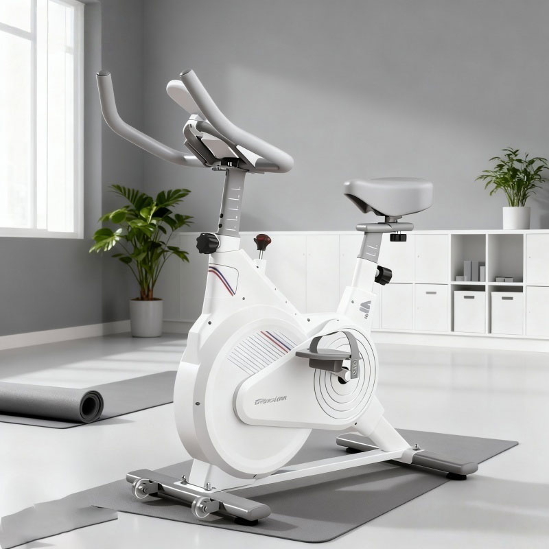 Indoor Stationary Spin Bike, S - Home Gym Academy review and price